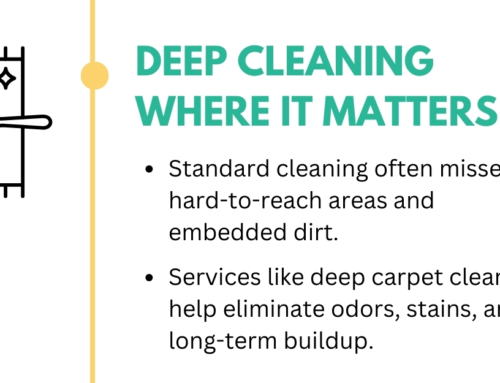 Why Professional Cleaning Is The Smart Choice For Modern Homes