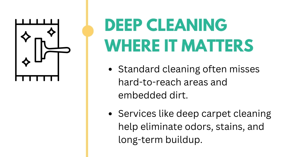 Why Professional Cleaning Is The Smart Choice For Modern Homes