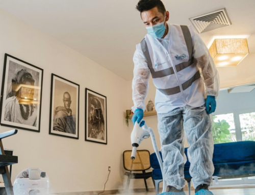 The New Standard of Clean: How Sanitization Is Redefining Hygiene in Stoughton, MA