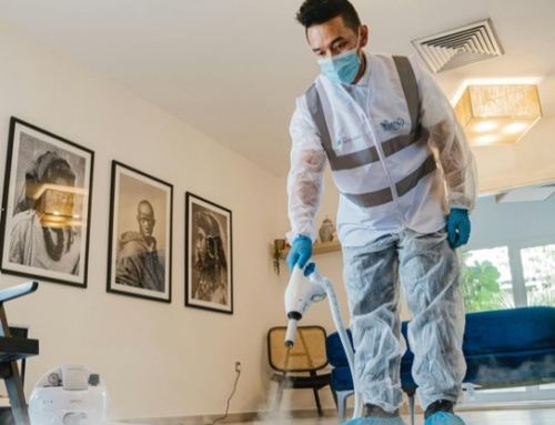Carpet Care 101: Extending the Life of Your Floors