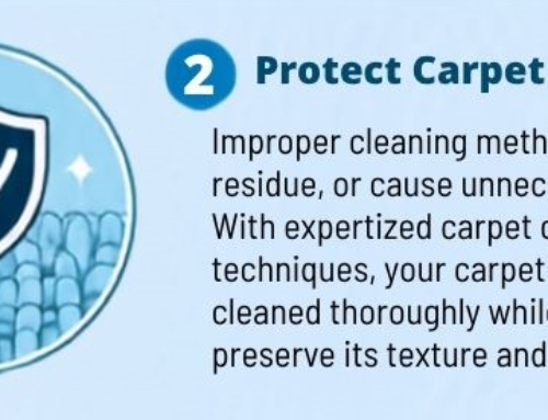 How We Can Extend the Life of Your Carpet